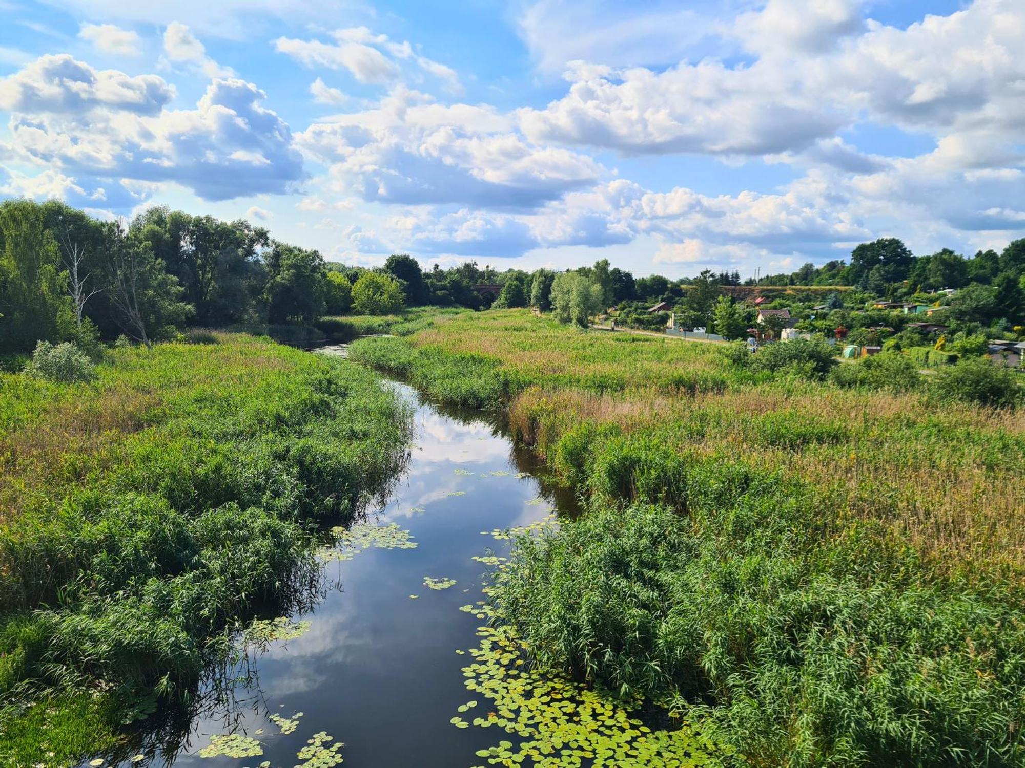 Przystan Natura Iława Eksteriør billede